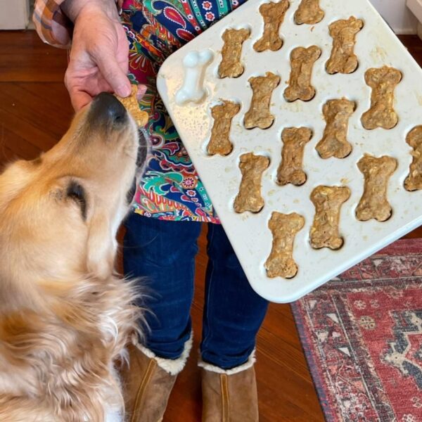 Dog Biscuits