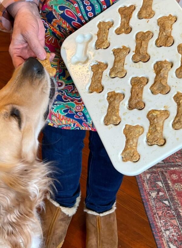 Best Friend Biscuits